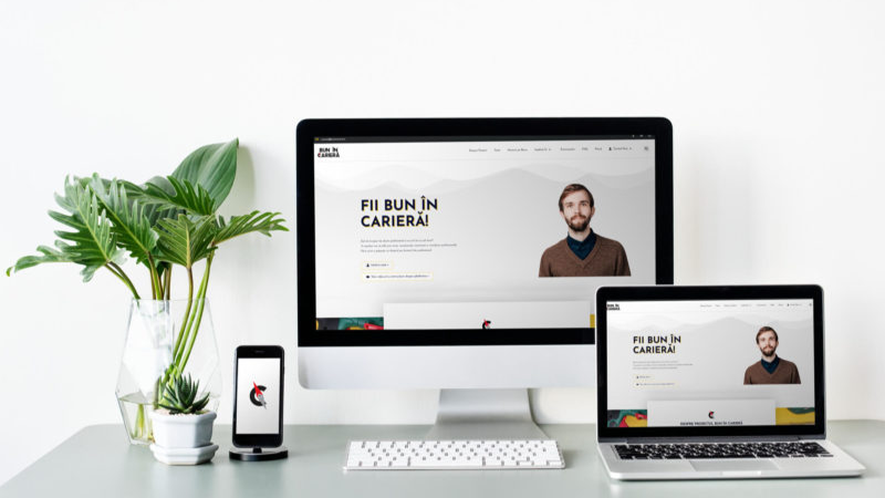 Startup Identity